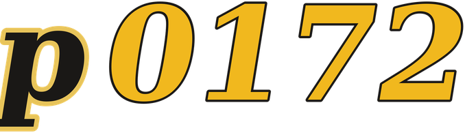 p0172 logo